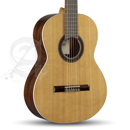 Alhambra 1C HT Guitar with bag
