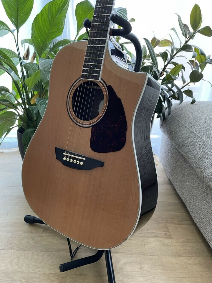 SGW S-650D/N Acoustic Guitar