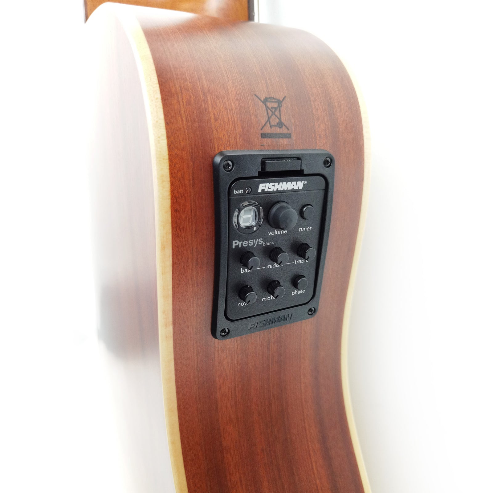 Raimundo DS200E Spruce Pre-sys Acoustic Guitar