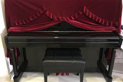 Cristofori Upright Piano Cover - full length (Velvet)