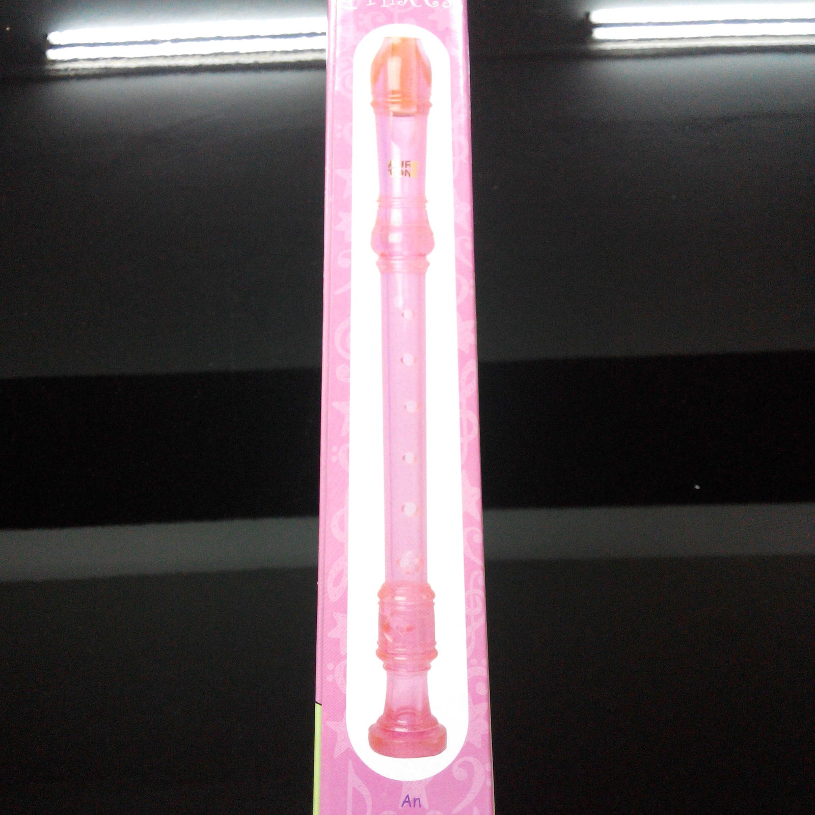 MS Princess Recorder Pk