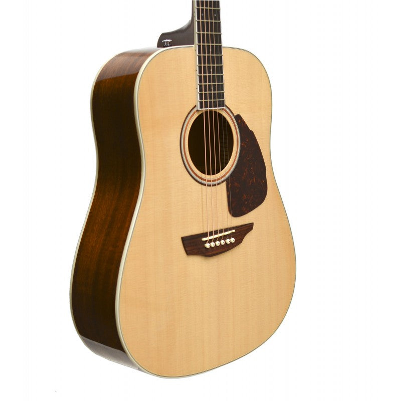 SGW S-300D/N Acoustic Guitar