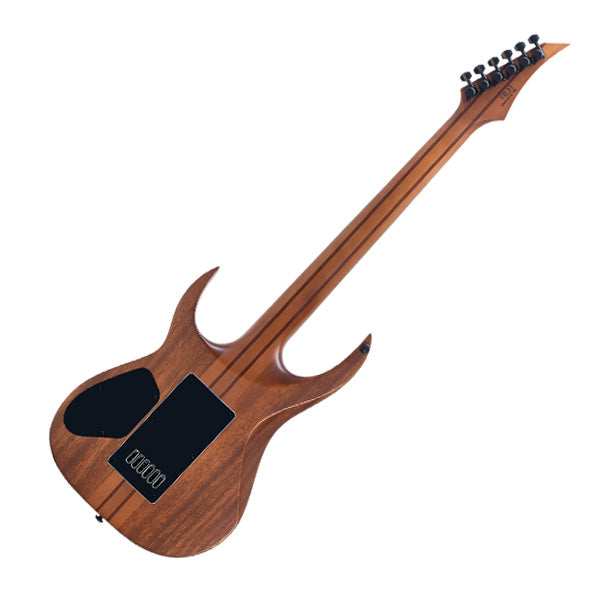 SOLAR S1.6PB Electric Guitar - Poplar Burst Matte