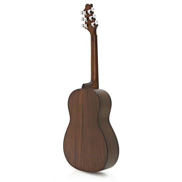 Greg Bennett ST6-1/N Acoustic Guitar Natural