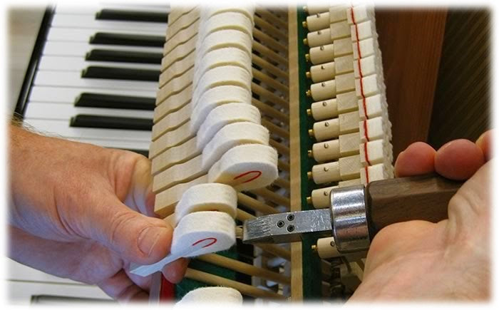 Kayserburg Grand Piano KA243Z