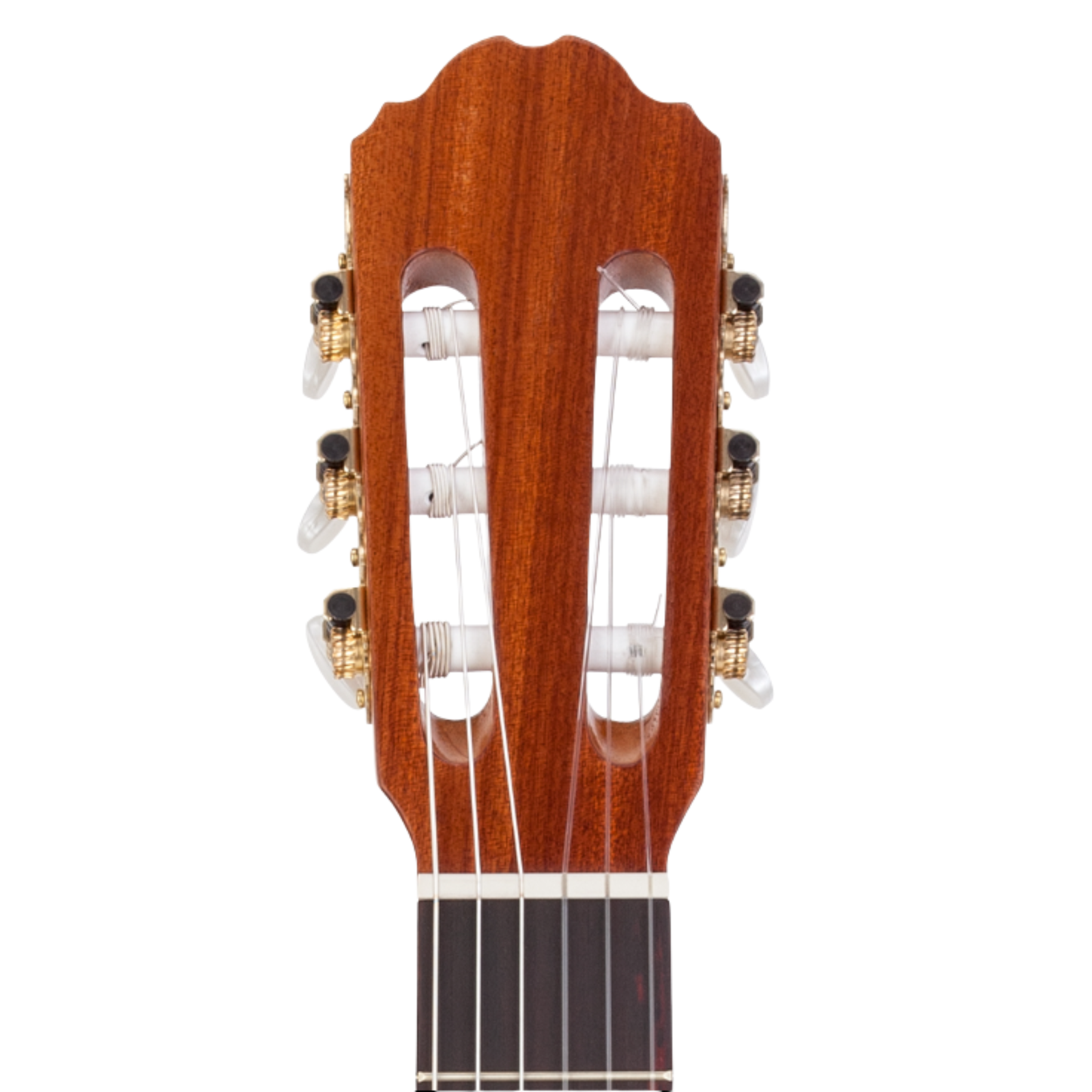 Kremona S65C Classical Guitar - Solid Cedar Top Sapele Side/Back