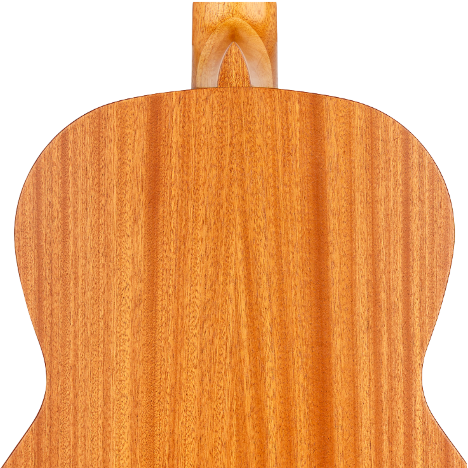 Kremona Camellia Classical Guitar - Solid Cedar Top Sapele Side/Back