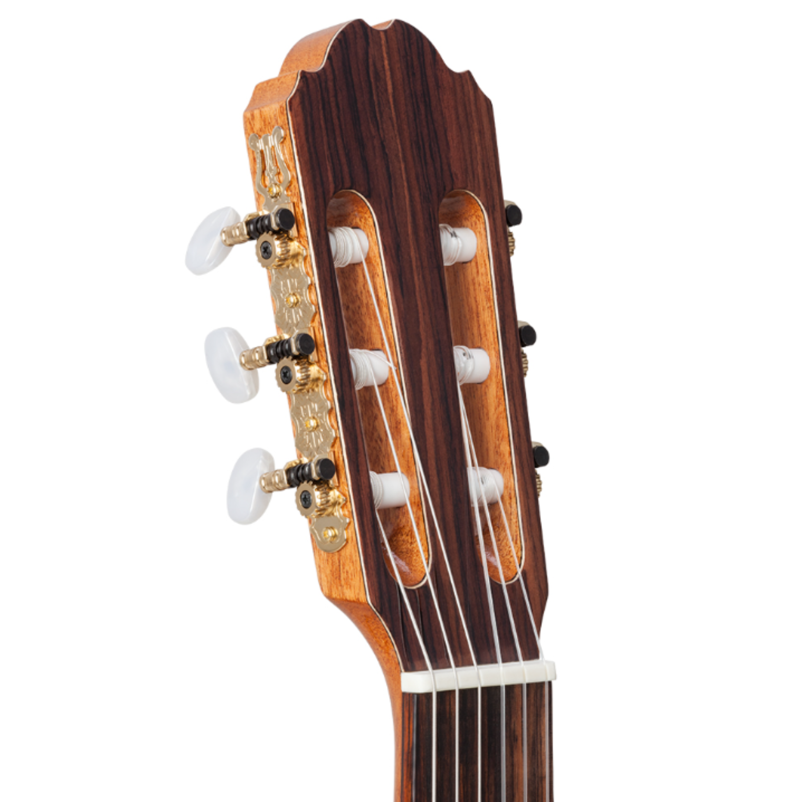 Kremona F65C Classical Guitar - Solid Cedar Top Rosewood Side/Back