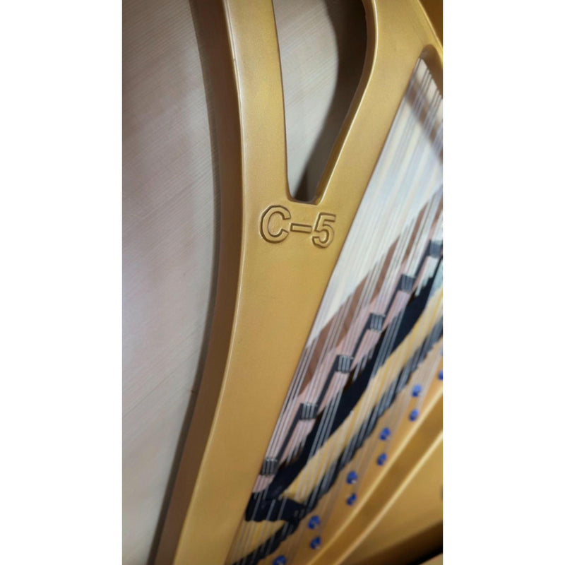 Cristofori Upright Piano C5