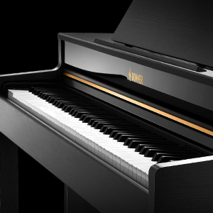 DONNER DDP-400 (Black) - Premium Digital Piano