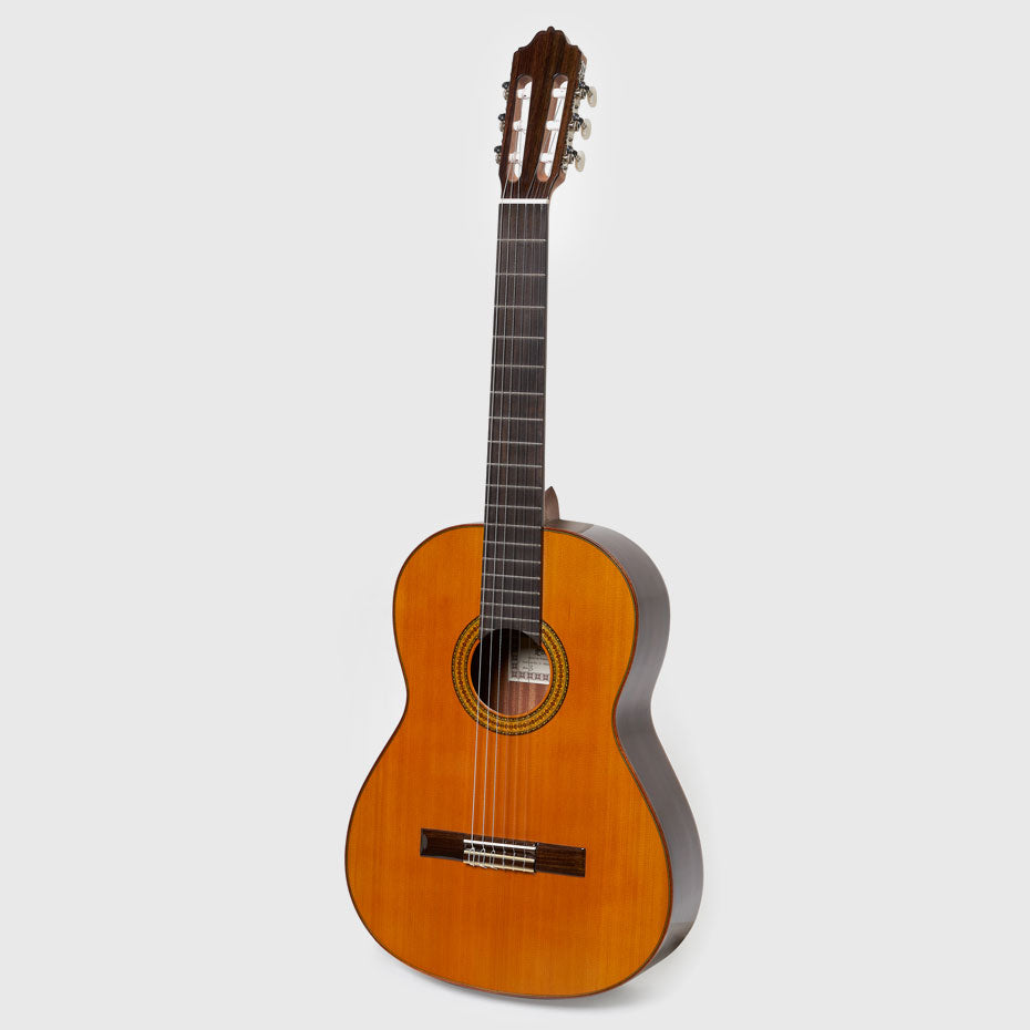 Esteve 3 Classical Guitar - Dark Mahogany Side/Back