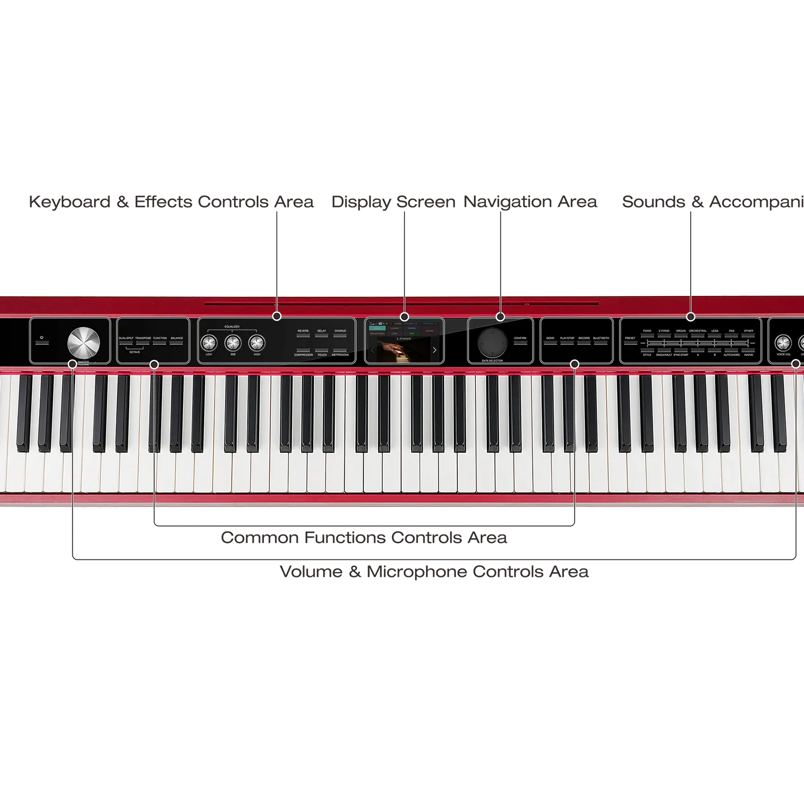 NUX Digital Piano -NPK-20 (Black) - with wooden stand NPS-1