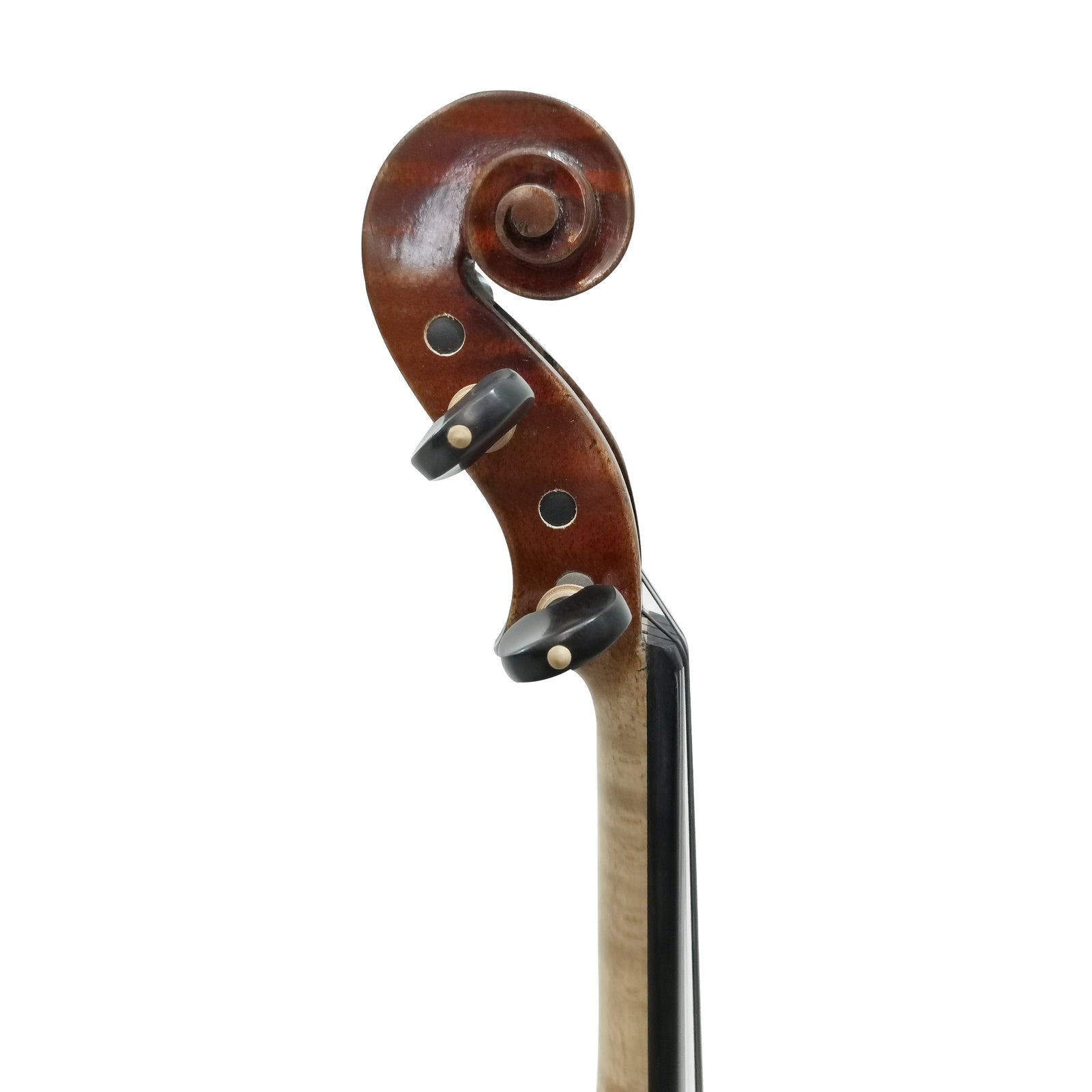 Violin - PASSIONE 44-B