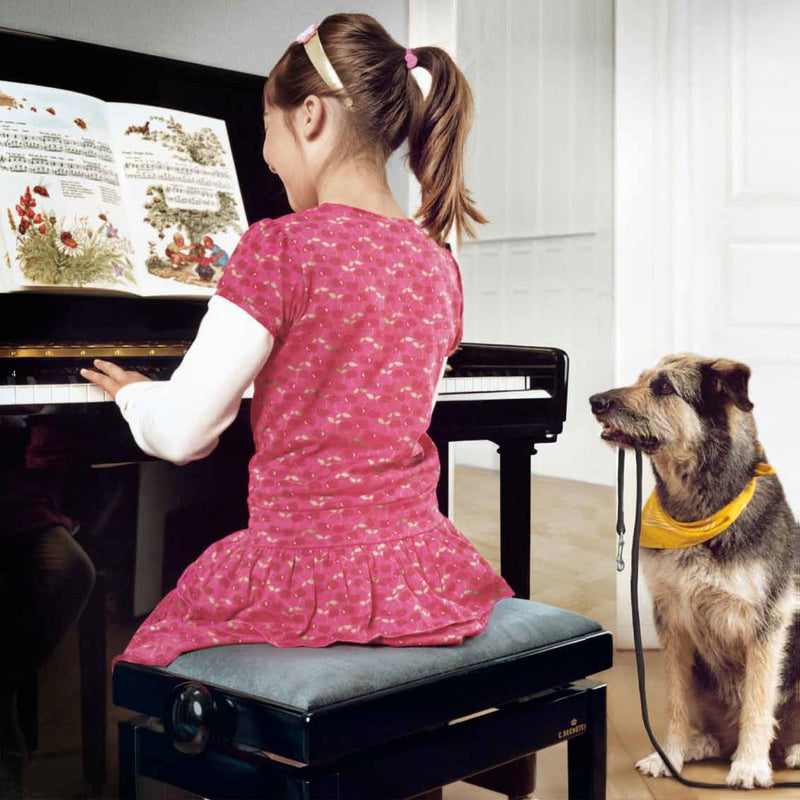 Zimmermann Upright Piano S6 EP