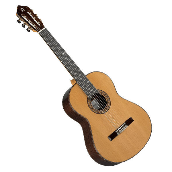 Alhambra 10 premier classical guitar singapore sg not Yamaha