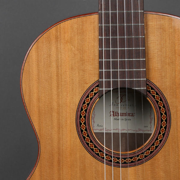 Alhambra Iberia Ziricote Guitar with bag