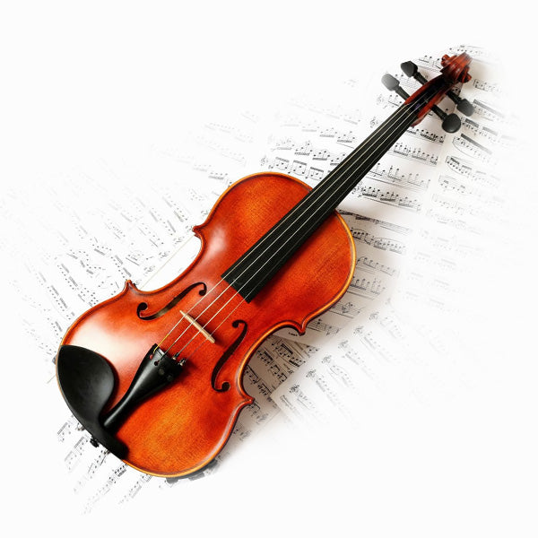 Cristofori violin bella 4/4 size singapore sg not Yamaha