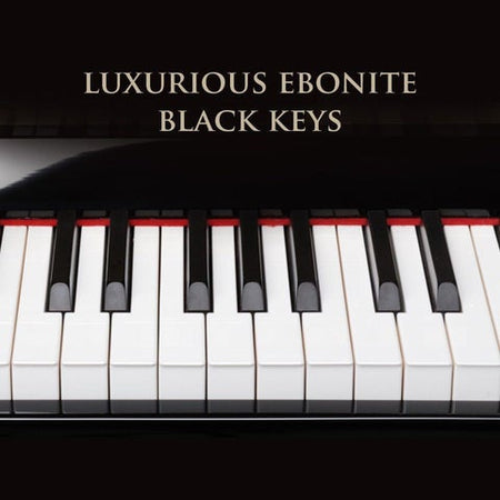 Franz Sandner Upright Piano SP-210A EP