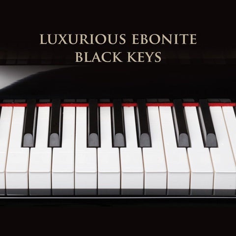 Franz Sandner Upright Piano SP-210A EP