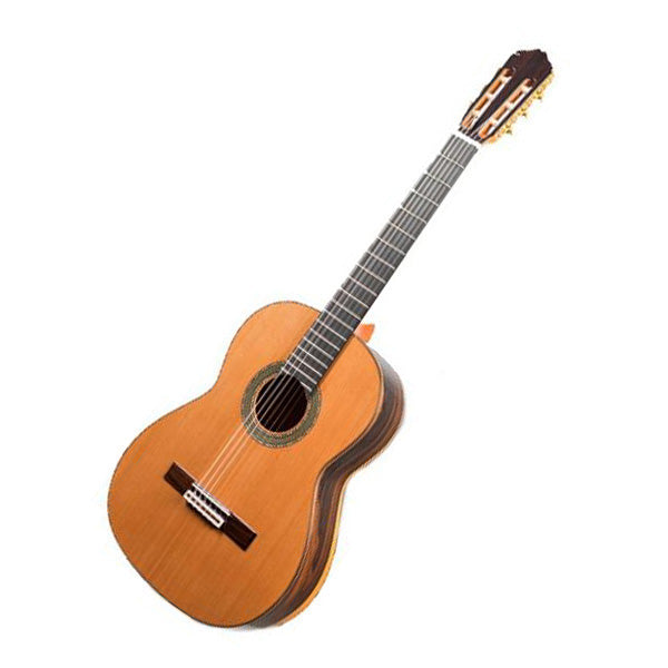 Raimundo 131 Cedar (Ziricote) Classical Guitar spain not Yamaha singapore sg