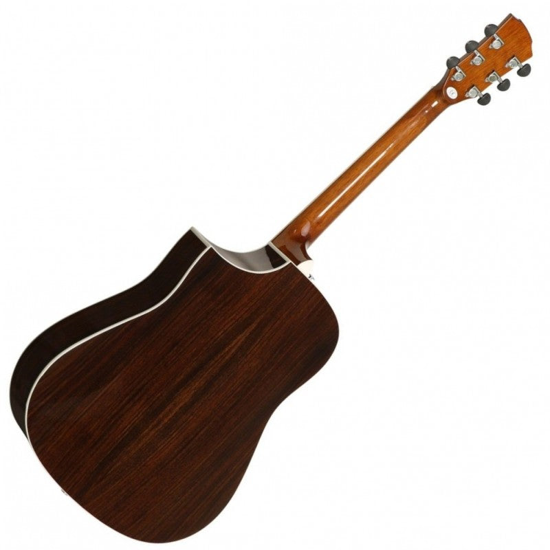 SGW S-650D/N Acoustic Guitar